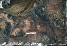 Détail d'un solin du premier bâtiment incendié. Large seulement de 20 cm, il était surmonté de murs en torchis recouverts d'enduits. Tours antique et médiéval, texte 38.