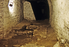 Murs romains visibles au sol dans la cave du palais Granvelle.