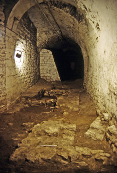 Murs romains visibles au sol dans la cave du palais Granvelle. © D. Billoin, Inrap