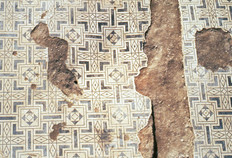 Mosaïque à décor géométrique et frise végétale d'époque flavienne (69-96 de notre ère) ornant le sol d'une des pièces du vaste bâtiment interprété comme une domus ou un édifice public.