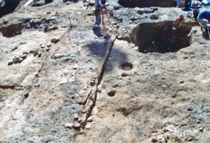 Fouille de deux maisons aux murs en briques d'adobe (terre crue) de la période augustéenne (phase -30 à +1). On distingue nettement les parois continues qui émergent légèrement du sol environnant. Ces maisons sont recoupées par de grandes fosses postérieures.