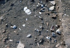 Vue du comblement d'une fosse-dépotoir du XVIIIe siècle creusée dans le jardin du couvent des clarisses. Parmi les fragments de vaisselle en faïence, en céramique commune ou en verre, on aperçoit, retournée, une assiette blanche en faïence à décor extérieur godronné.