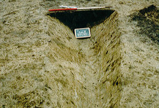 Un fossé du XIIe siècle en cours de fouilles. Le comblement est noirâtre par rapport au sol limoneux ambiant de couleur marron clair. Templiers Houck, Brouckerque (Nord), 1997.