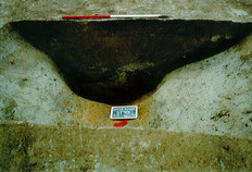 Coupe de fossé du Xe-XIe siècle. Le comblement du fossé se détache nettement du sable limoneux blanc en place sur les flancs de la structure. Templiers Houck, Brouckerque (Nord), 1997.