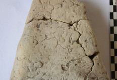 Peson en terre cuite. Haut. 9 cm, larg. base 8 cm. Date : Xe siècle ? Templiers Houck, Brouckerque (Nord), 1997.