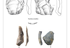 Exemples d'artefacts d&eacute;bit&eacute;s en silex selon la technique dite Levallois.  La Vall&eacute;e des Bouill&egrave;res, Lahoussoye (Somme), 2013.&nbsp;