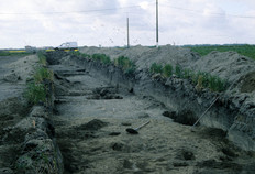 Vue du d&eacute;capage.  Chaque excavation correspond &agrave; une fosse ou &agrave; un trou de poteau fouill&eacute;.  Noord Gracht, Mardyck (Nord), 1997