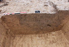 Coupe dans un foss&eacute; carolingien.  Le Camp Capron, Marieux (Somme), 2012.&nbsp;