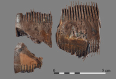 Fragments de peigne en bois du IIe si&egrave;cle de notre &egrave;re d&eacute;couverts dans un puits.  Schulleveldt, Pitgam (Nord), 2012.&nbsp;