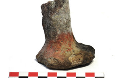 Fragment d'un pilier de four &agrave; sel dat&eacute; du Ier si&egrave;cle de notre &egrave;re.  Schulleveldt, Pitgam (Nord), 2013.&nbsp;