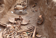 Sépultures inhumées dans la galerie du cloitre et en cours d'étude par les anthropologues