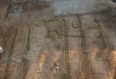 Illustration de tranch&eacute;es de plantation de vigne, distinguables par leur couleur brune plus fonc&eacute;e au sein d'un s&eacute;diment clair. Elles sont artificiellement surlign&eacute;es en vert pour une plus grande lisibilit&eacute;.  Parking Jean-Jaur&egrave;s, N&icirc;mes (Gard), 2007 