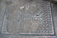 Panneau central en mosa&iuml;que d&eacute;corant le sol d'un triclinium (salle &agrave; manger) - Ier si&egrave;cle apr&egrave;s J.-C. Malgr&eacute; la d&eacute;gradation et la disparition de nombreuses tesselles, on distingue un personnage en buste dans un m&eacute;daillon circulaire, des dauphins subsistant dans les &eacute;coin&ccedil;ons et des motifs g&eacute;om&eacute;triques (carr&eacute;, losange et n�ud de Salomon).  Parking Jean-Jaur&egrave;s, N&icirc;mes (Gard), 2007 