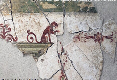 &laquo;&nbsp;Fontaine des B&eacute;n&eacute;dictins&nbsp;&raquo;, fragment d'enduit peint qui figure, au sommet d'une corniche, une cr&eacute;ature hybride&nbsp;: panth&egrave;re dont la queue esquisse un rinceau, collection Mus&eacute;e de la Romanit&eacute;.  Fontaine des B&eacute;n&eacute;dictins, N&icirc;mes (Gard), 1982  &copy; Bertrand Houix, Inrap