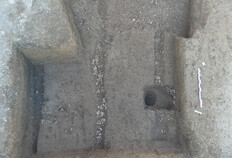 Traces de vignobles protohistoriques.  3 rue du Cadereau, N&icirc;mes (Gard), 2023  &copy; Aude-Marie Perrone, Fr&eacute;d&eacute;ric Chandeveau, Inrap