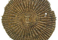 Fond de corbeille en saule. Place d'Assas, N&icirc;mes (Gard), 2003  &copy; Mus&eacute;e de la romanit&eacute; de N&icirc;mes    