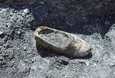 Fig. 5 : Vue d'un sabot en bois in situ.