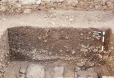 Un &laquo;&nbsp;sol brun&nbsp;&raquo; sur les ruines des &eacute;difices antiques, Ve-XIIIe si&egrave;cle.  Les constructions antiques aras&eacute;es sont recouvertes par un sol au sens p&eacute;dologique du terme, mobilisant en profondeur des couches de gravats et incorporant dans l'&eacute;paisseur de nombreux tessons. Cet horizon t&eacute;moigne d'un changement de fonction de l'ancien quartier monumental et le d&eacute;veloppement de pratiques agricoles dans un secteur d&eacute;surbanis&eacute;.  N&icirc;mes, Ancien th&eacute;&acirc;tre (Gard), 1984.&nbsp;  &copy; Francis Cognard, Fonds Arch&eacute;Ofactory