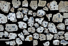 Restes de la mosa&iuml;que polychrome d'une salle chauff&eacute;e par hypocauste.  Rue Godin, 3-5 rue Fernand Pelloutier, N&icirc;mes (Gard), 2021  &copy; Bertrand Houix, Inrap