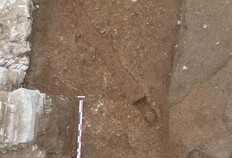 Fosse de plantation oblongue, rectiligne, mise au jour en fond de fouille, perpendiculairement au trac&eacute; d'un axe ancien,&nbsp;la &laquo;&nbsp;voie de Saint-Gilles&nbsp;&raquo;. Plusieurs fosses ainsi orient&eacute;es ont &eacute;t&eacute; d&eacute;couvertes dans tous les secteurs de la fouille, permettant d'extrapoler que ces parcelles &agrave; l'est de la voie &eacute;taient alors d&eacute;di&eacute;es &agrave; la culture de la vigne.  IIe-Ier si&egrave;cles avant J.-C.  Rue Porte-de-France, &icirc;lot Saint-Joseph 3, Palais des Congr&egrave;s, N&icirc;mes (Gard), 2022.