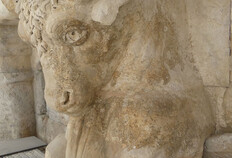 Amphith&eacute;&acirc;tre de N&icirc;mes. Protom&eacute; de taureau ornant le premier &eacute;tage de la trav&eacute;e d'honneur.  IIe si&egrave;cle apr&egrave;s J.-C.  Amphith&eacute;&acirc;tre, suivi arch&eacute;ologique de la restauration, N&icirc;mes (Gard), 2023&nbsp;  &copy; Richard Pell&eacute;, Inrap
