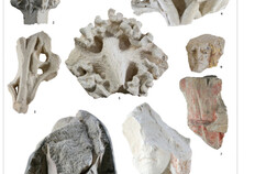 Fragments conserv&eacute;s du monument fun&eacute;raire comm&eacute;moratif du cimeti&egrave;re nord des Carmes&nbsp;: &eacute;l&eacute;ments architecturaux miniatures (nos 1-5) et personnages de tailles vari&eacute;es dont trois en deuil (nos 6-10, portant la capuche noire des enterrements, &agrave; la bouche triste ou, peut-&ecirc;tre, s'arrachant les cheveux).  Zac du Forum des Carmes � 5, N&icirc;mes (Gard), 2011  &copy; Odile Maufras, Inrap