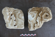 Deux fragments non jointifs de chapiteau en calcaire du Bois des Lens  45-49 rue de Beaucaire, N&icirc;mes (Gard), 2024  &copy; Caroline Lefebvre, Inrap