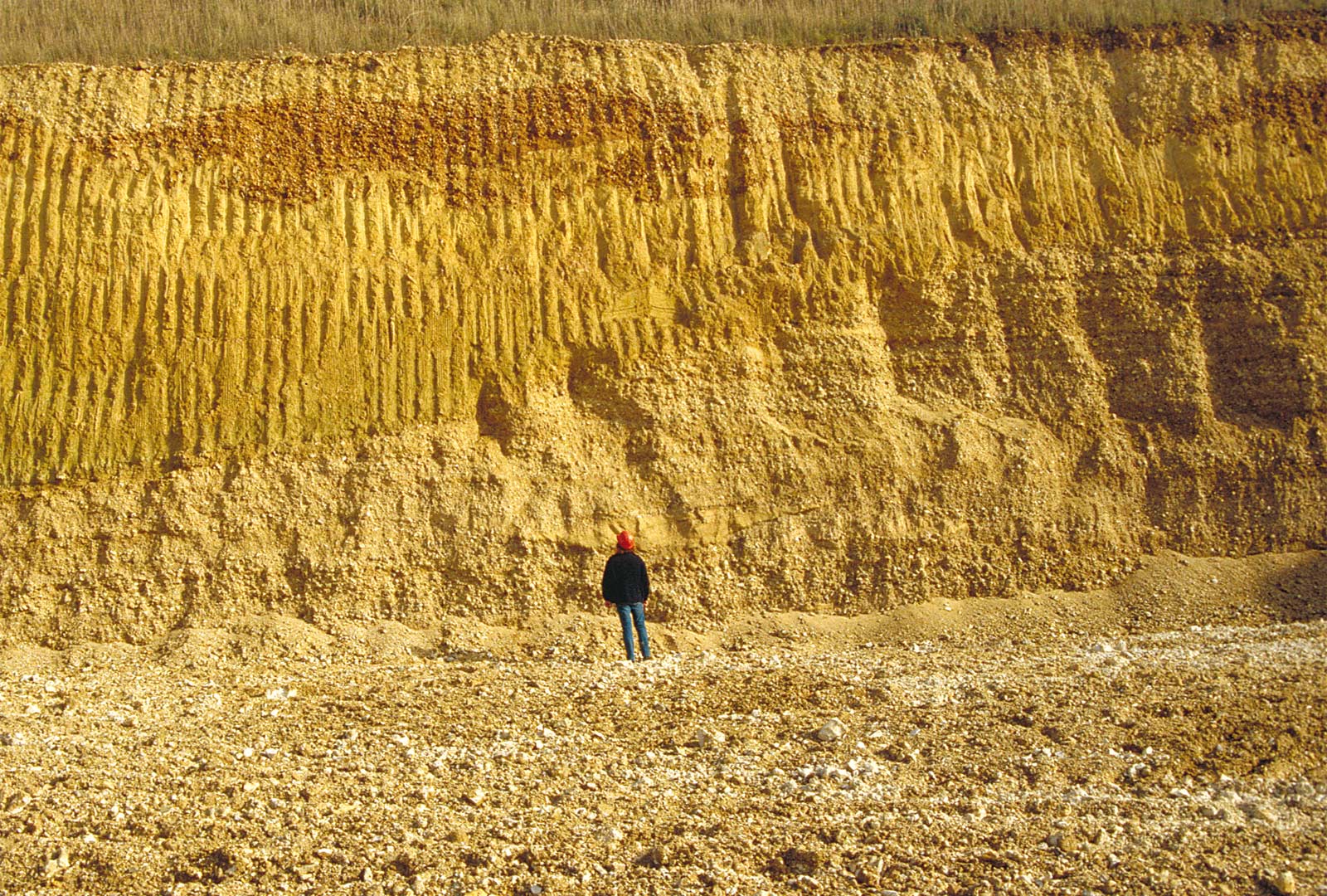La carri&egrave;re de Soucy : les occupations pr&eacute;historiques, sur des buttes de graviers, ont &eacute;t&eacute; r&eacute;guli&egrave;rement recouvertes par des couches de sable.   &copy; V. Lhomme, Inrap 