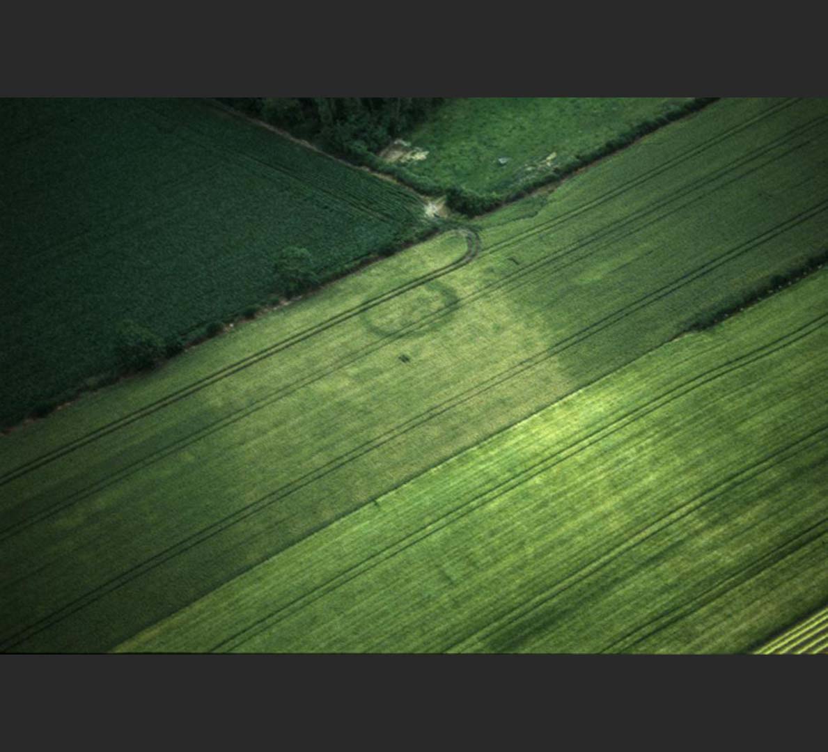 Sur cette photo a&eacute;rienne, appara&icirc;t sous la v&eacute;g&eacute;tation un enclos circulaire d&eacute;limitant tr&egrave;s probablement une tombe de l'&acirc;ge du Bronze.   &copy; H. Paitier, Inrap 