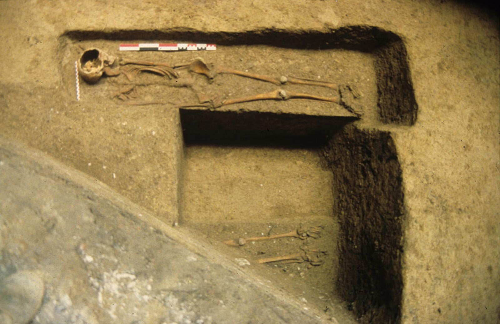 S&eacute;pultures superpos&eacute;es dans le cimeti&egrave;re juif m&eacute;di&eacute;val des XIIIe et XIVe si&egrave;cles, implant&eacute; &agrave; l'ext&eacute;rieur de la cit&eacute; &eacute;piscopale de Ch&acirc;lons-en-Champagne (Marne).   &copy; G. Verbrugghe, Inrap  