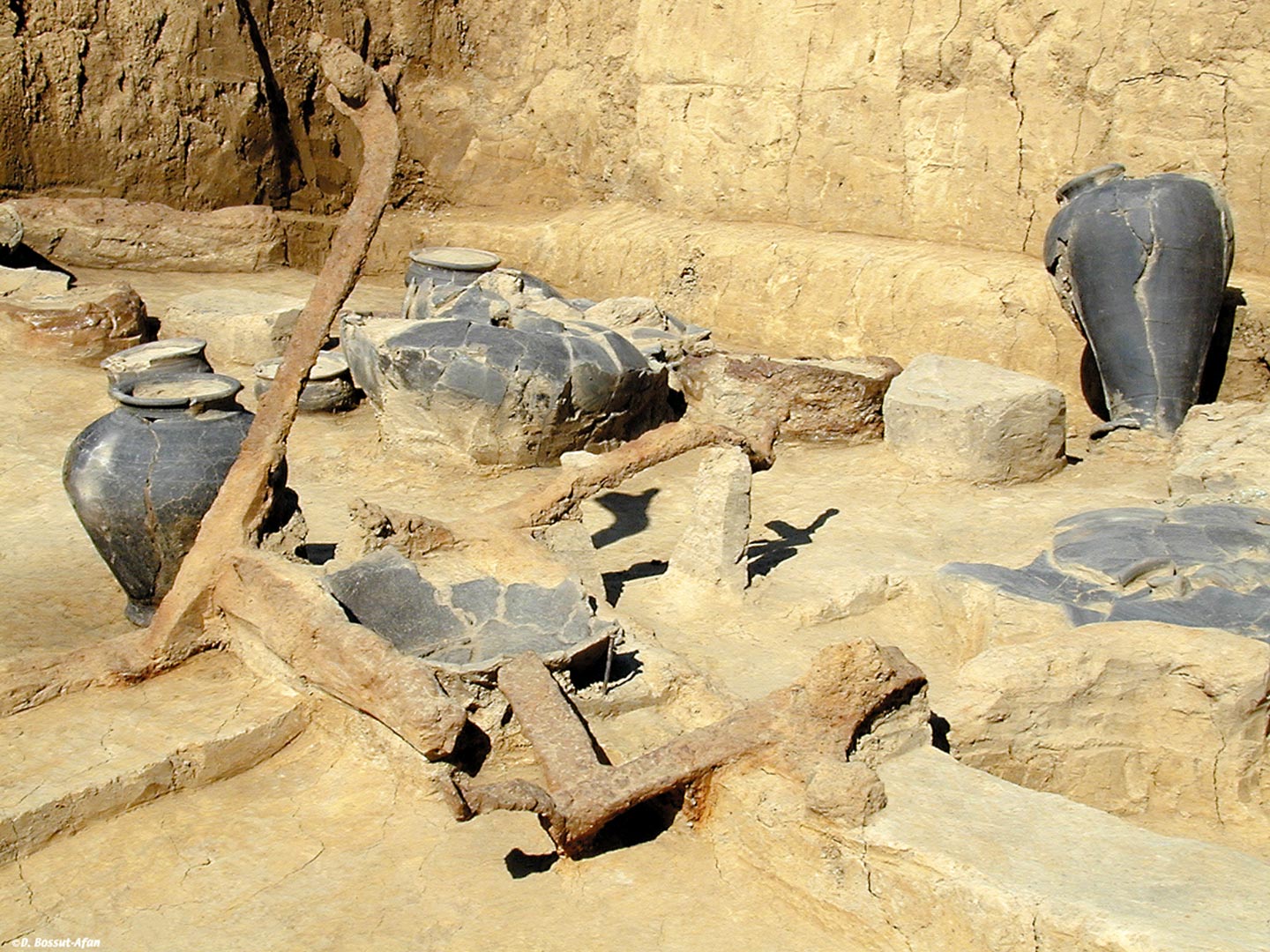 Vases et chenets en terre cuite  &agrave; t&ecirc;te de b&eacute;lier . Offrandes fun&eacute;raires du second &acirc;ge du Fer d&eacute;couvertes &agrave; Raillencourt-Sainte-Olle (Nord).   &copy; D. Bossut, Inrap 