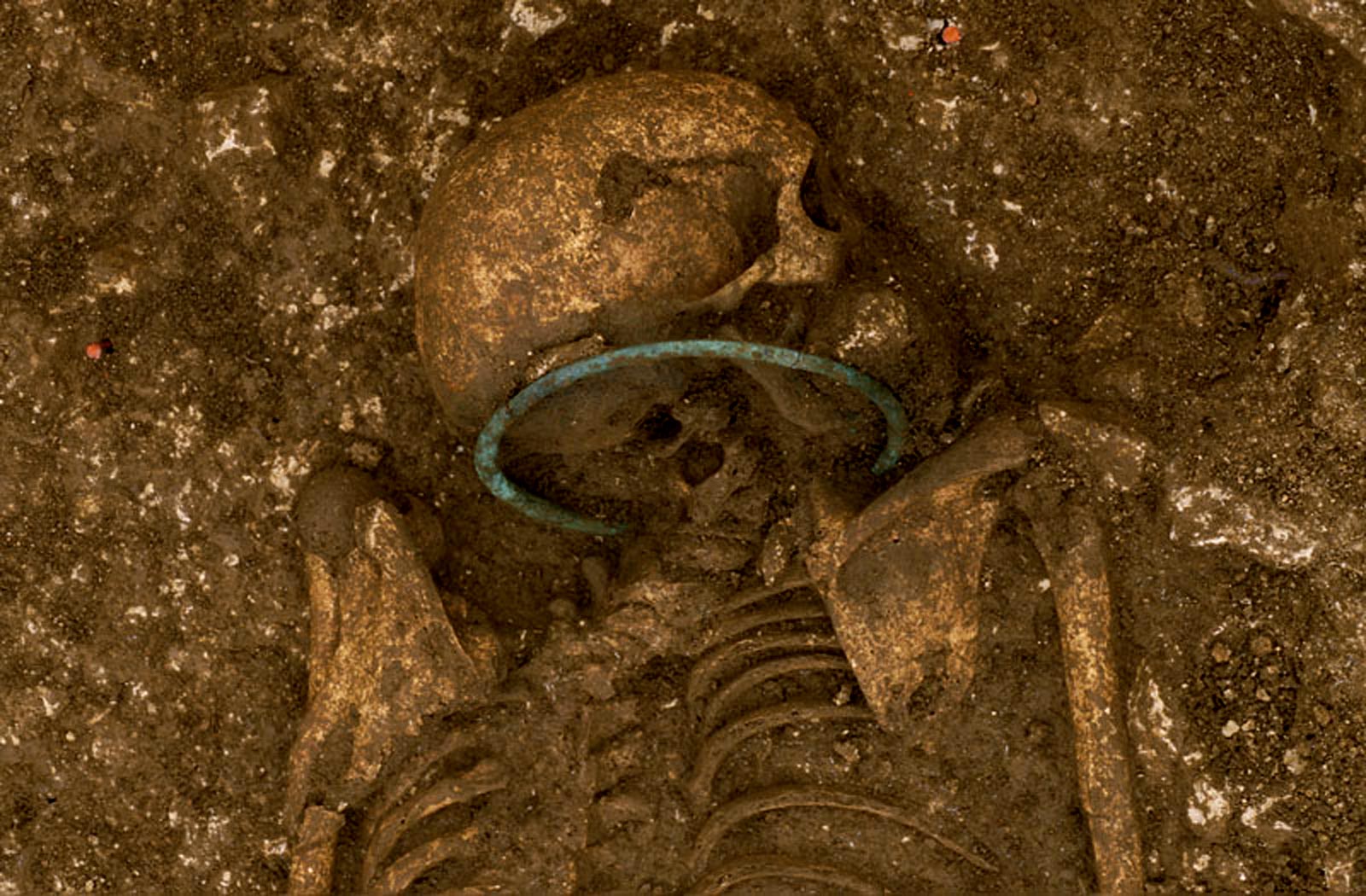 Inhumation avec un torque d&eacute;couverte &agrave; &Eacute;terville (Calvados).   &copy; H. Paitier, Inrap 