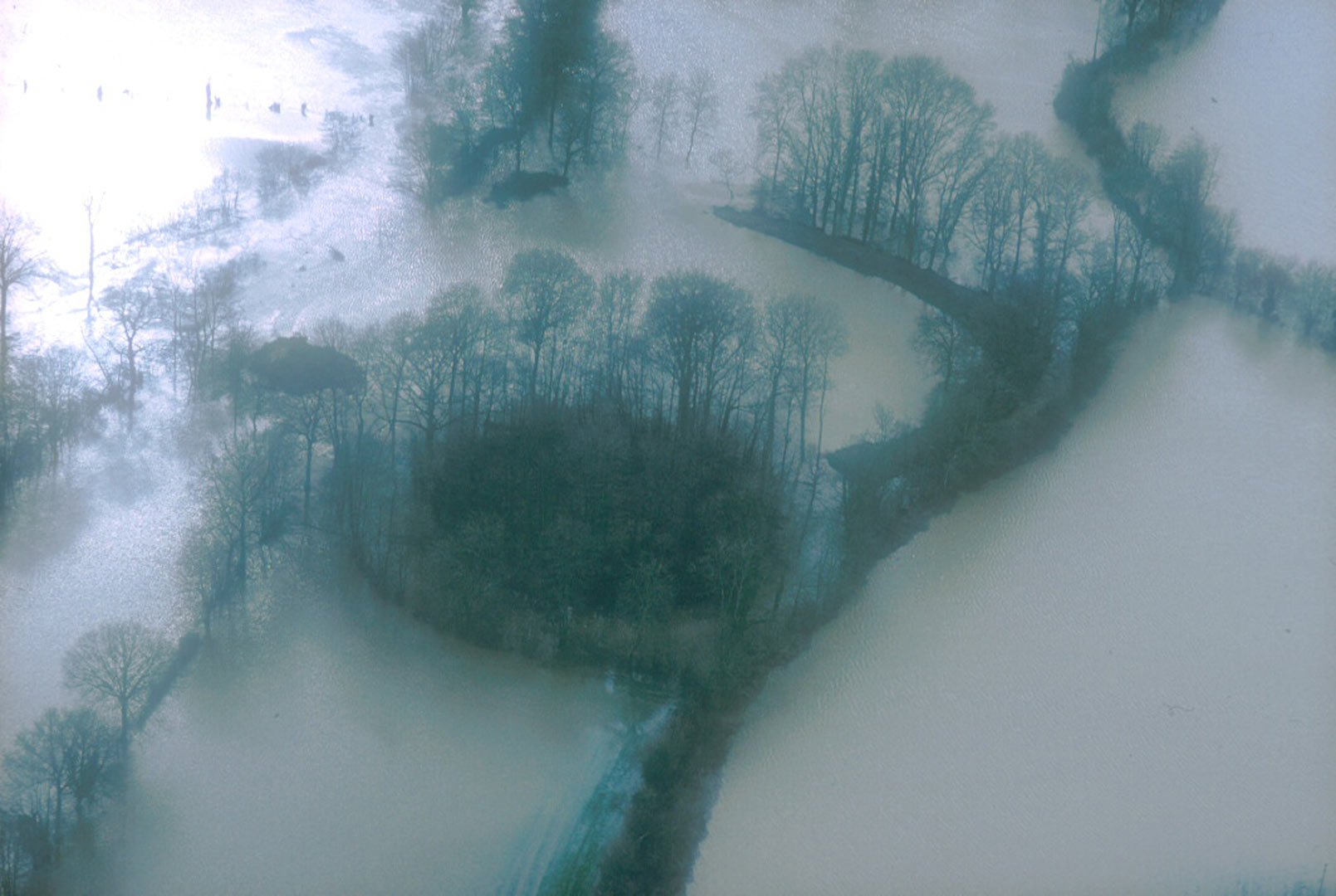 Motte castrale et sa basse-cour mises en &eacute;vidence par la crue de l'Oudon, affluent de la Mayenne, &agrave; Ch&acirc;telais (Maine-et-Loire).   &copy; G. Leroux, Inrap 