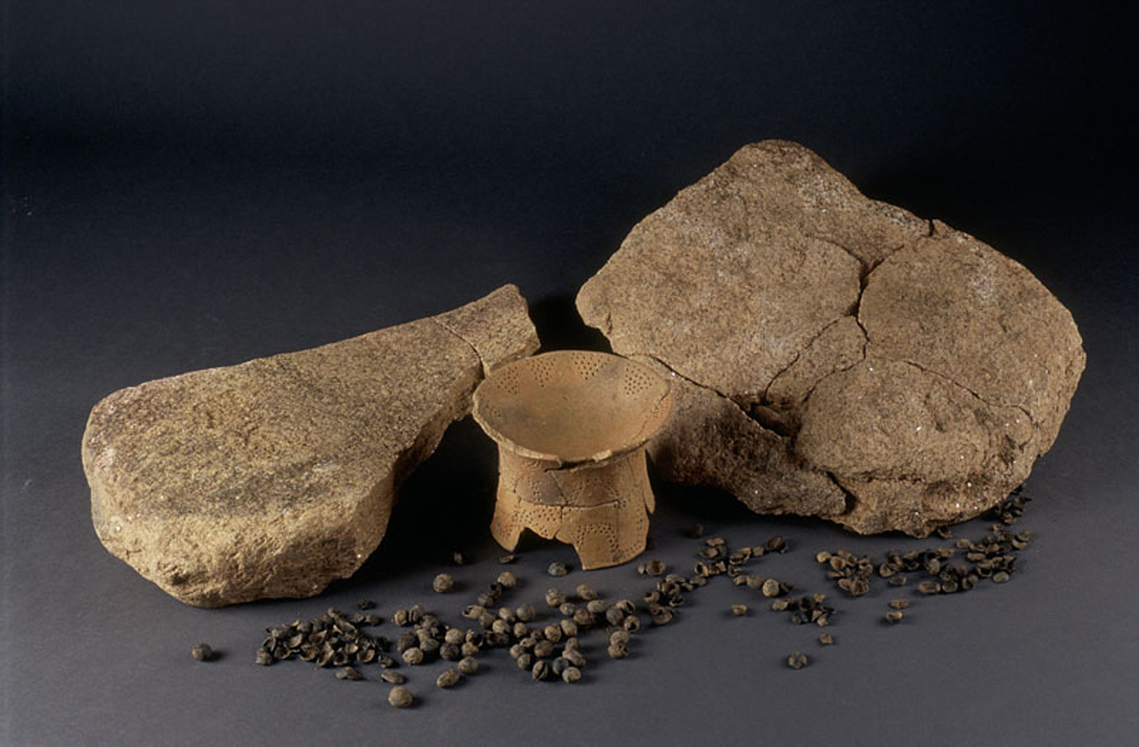 Coupe &agrave; socle d&eacute;couverte &agrave; Kerl&eacute;an (C&ocirc;tes-d'Armor)   &copy; H. Paitier, Inrap 