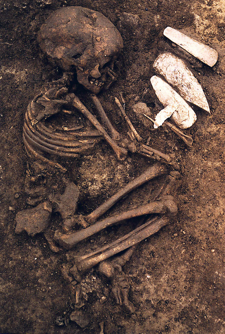 S&eacute;pulture de Vignely (Seine-et-Marne). Le d&eacute;p&ocirc;t fun&eacute;raire est compos&eacute; de trois haches taill&eacute;es ou polies.   &copy; C. Valero (INRAP) 