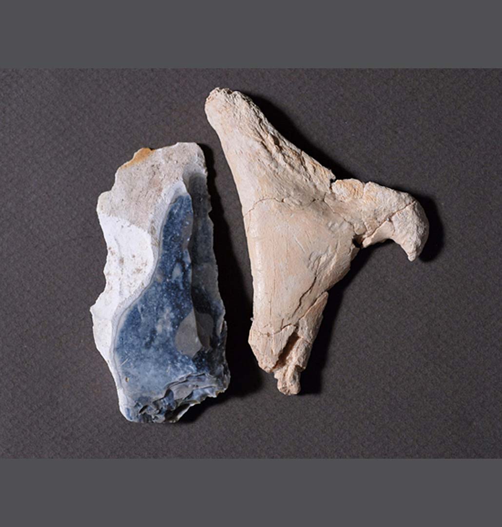 Os hyo&iuml;de d'aurochs avec stries de boucherie et un couteau de boucherie.   &copy; G. Polin, Inrap 