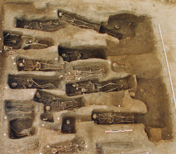Vue d�ensemble du cimeti&egrave;re conventuel des dominicaines de S&eacute;lestat (Bas-Rhin), des XIIIe au XVIIIe si&egrave;cle.   &copy; D. Billoin, Inrap 